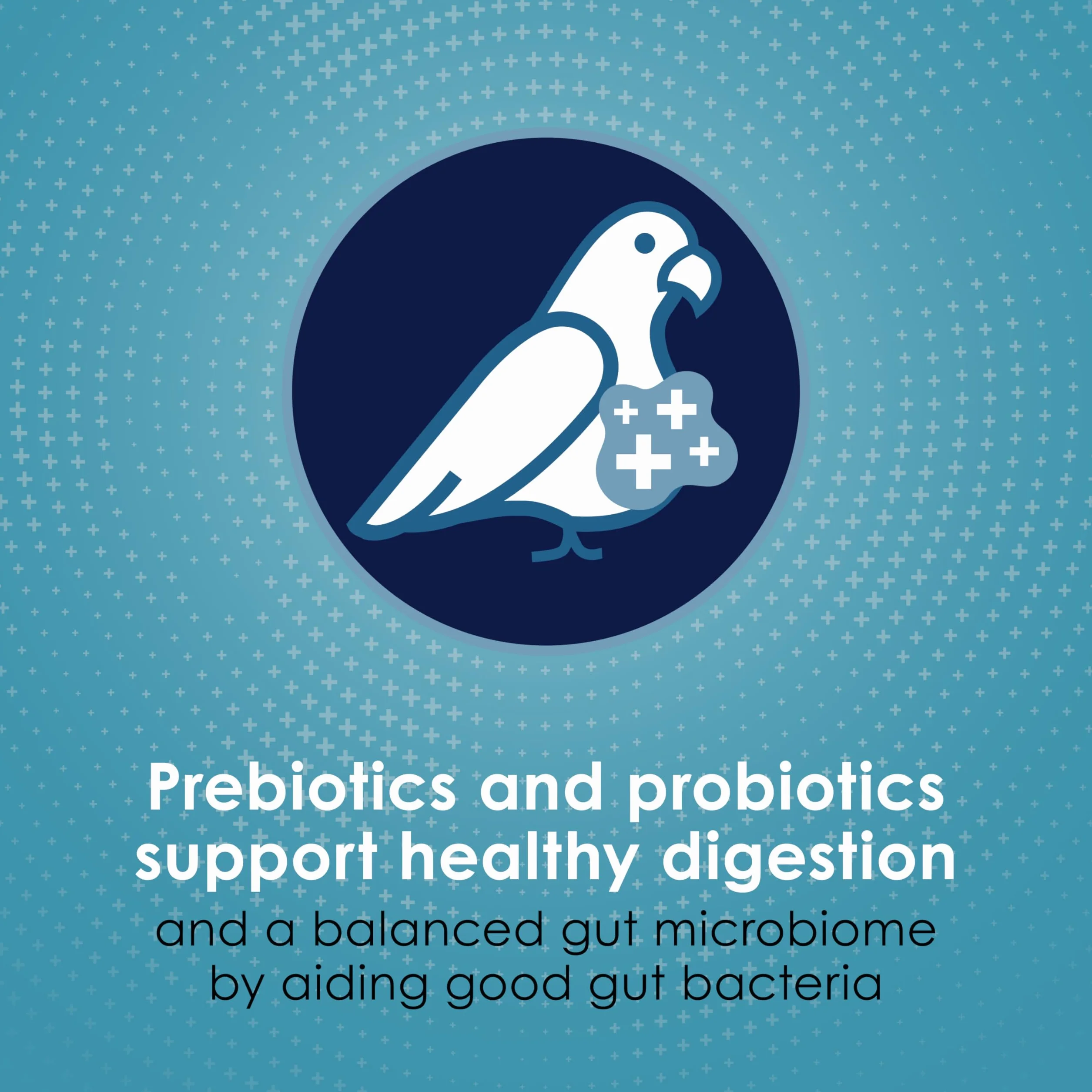 PARROT FORTI DIET PRO HEALTH 5LB