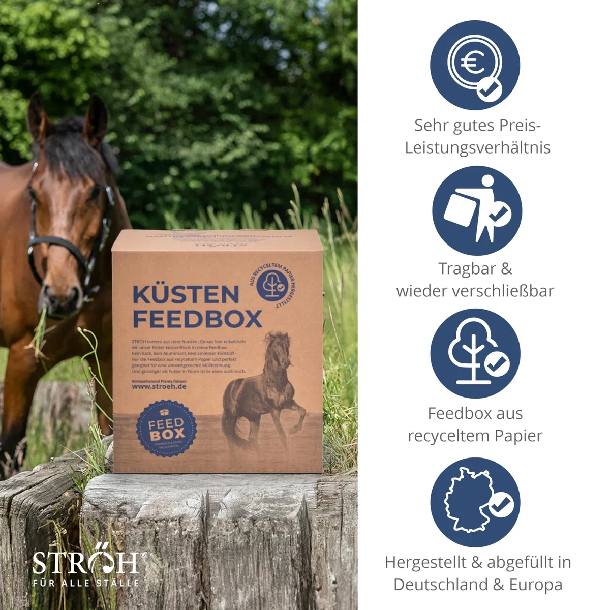 STRÖH Grünlippmuschel Pellets für Pferde - 4,5 kg Feedbox - 100% Natürlich