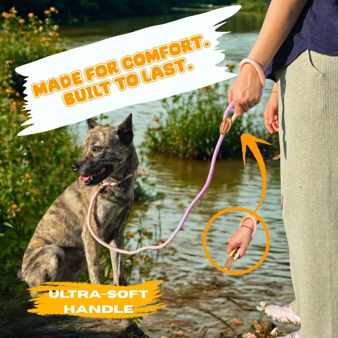 Hundeleine – Retrieverleinen für Hunde, 1,5 m lange Haustier-Trainingsleine, stark, strapazierfähig, geflochten, keine Zugschlaufe, Trainingsleine für kleine, mittelgroße und große Rassen,