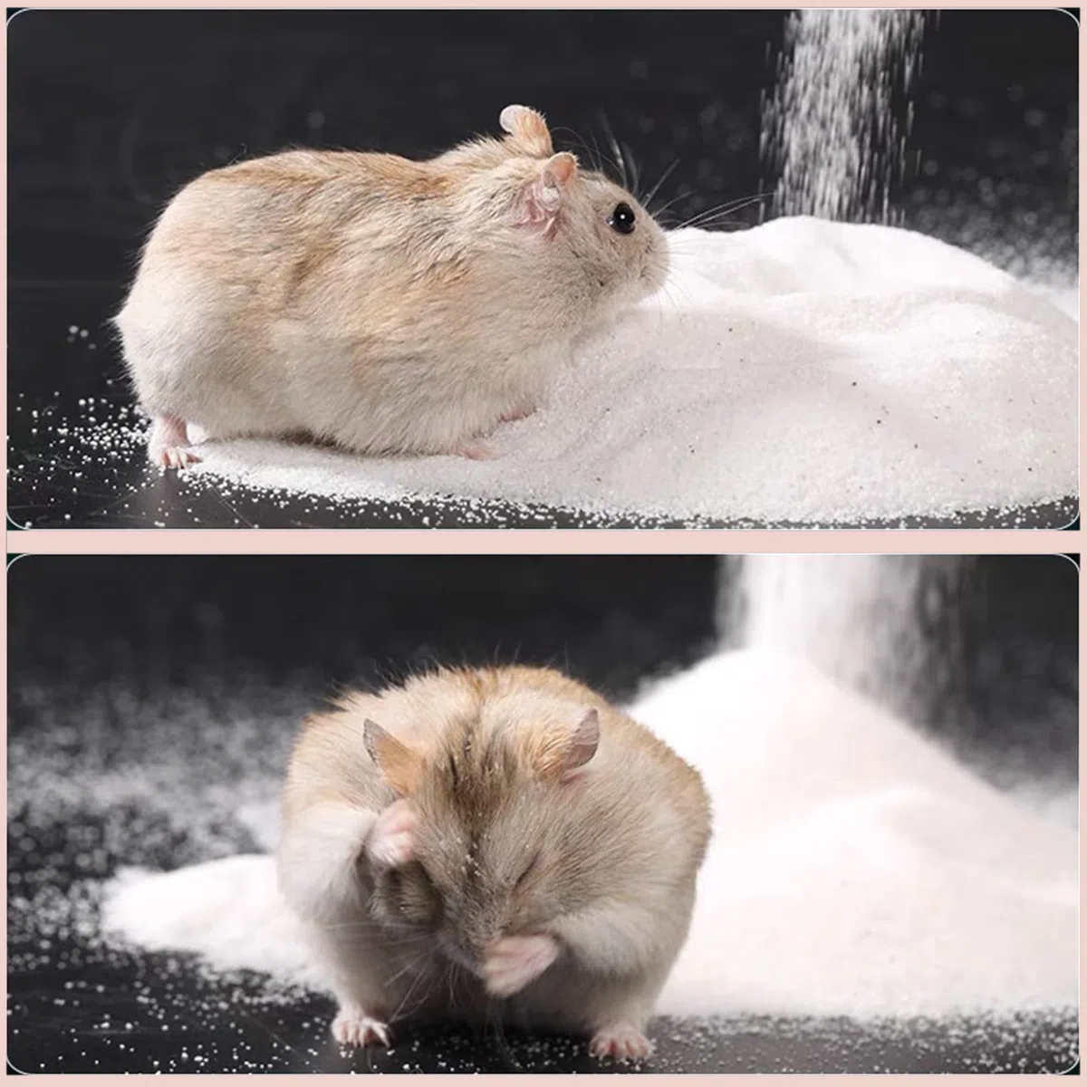 Dr.Dudu Hamsterbadesand, staubfreier Wüstensand oder als Töpfchentoilettenstreu für Hamster, Chinchillas, Rennmäuse, syrische Mäuse, Kleintiere, 3 kg, Weiß