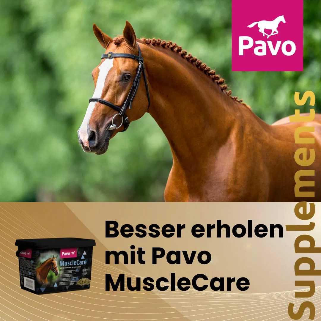 Pavo MuscleCare 3KG - Premium Muskelpflege für Pferde - Unterstützt Muskelregeneration & Reduziert Steifheit - Sportfutter, Pferdefutter