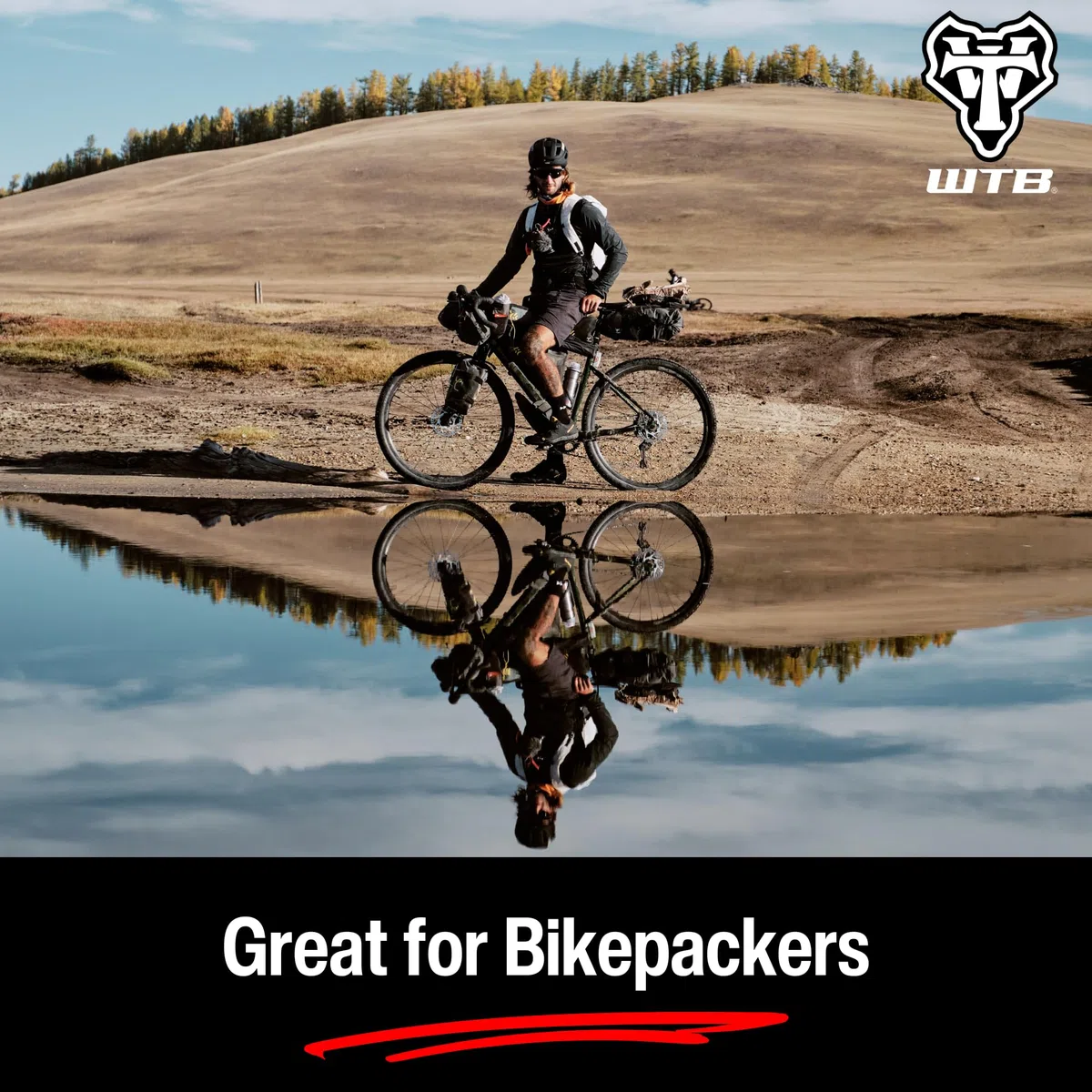 WTB Unisex-Adult Pure Fahrradsattel