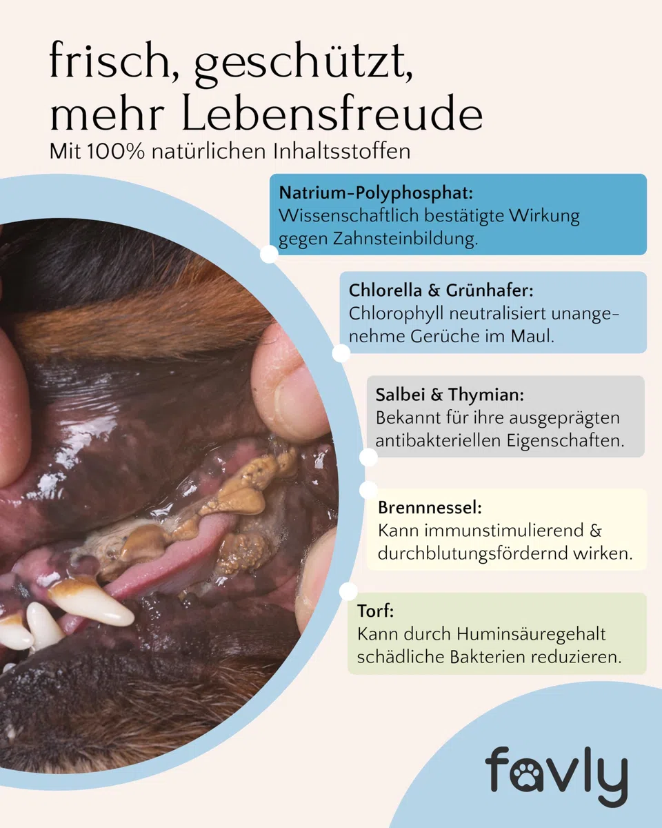 FAVLY – DENTAL Zahnpflege Pulver für Hunde 250g – Ergänzungsfuttermittel Zahnpulver Topping Hund gegen Maulgeruch & Zahnbelag – mit Bio-Chlorella & Salbei – ohne Getreide & Zusätze