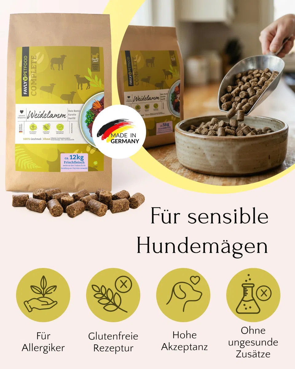 FAVLY – Weidelamm Trockenfutter für Hunde 12kg – kaltgepresst & glutenfrei – mit Rote Beete, Karotte & Hanföl – Monoprotein für Allergiker & Sensible Hunde – hoher Fleischanteil & ohne Zusätze