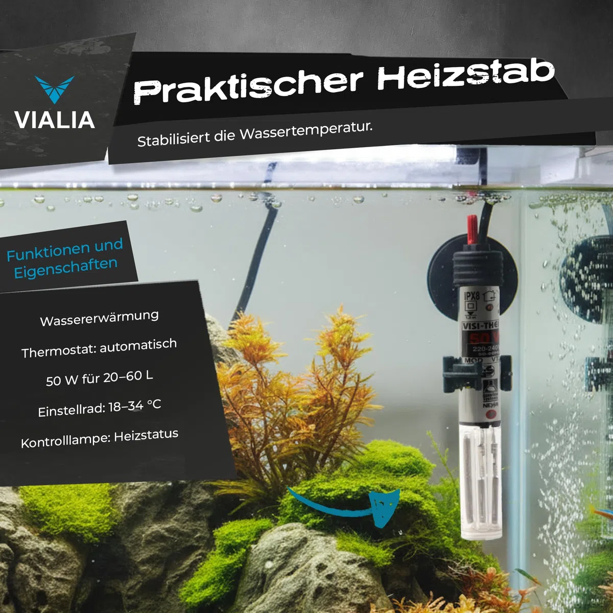 Aquarium Komplettset 60x30x30 cm | 54 Liter Glasbecken mit Juwel LED Abdeckung Schwarz | Starter-Set inkl. Heizer, Thermometer, Aufbereiter & Futter | Stoßfestes Floatglas & Diamantschliff