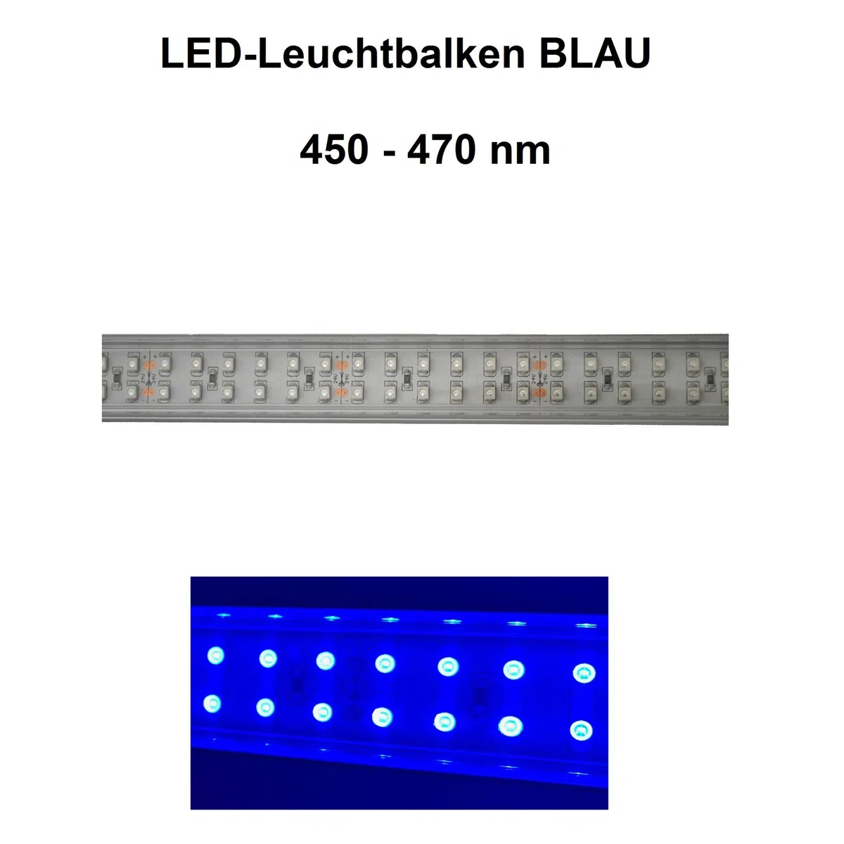Meerwasser Aquarium LED-Licht 170 cm, 4 Leisten: 2X Tageslicht + 2X Blau