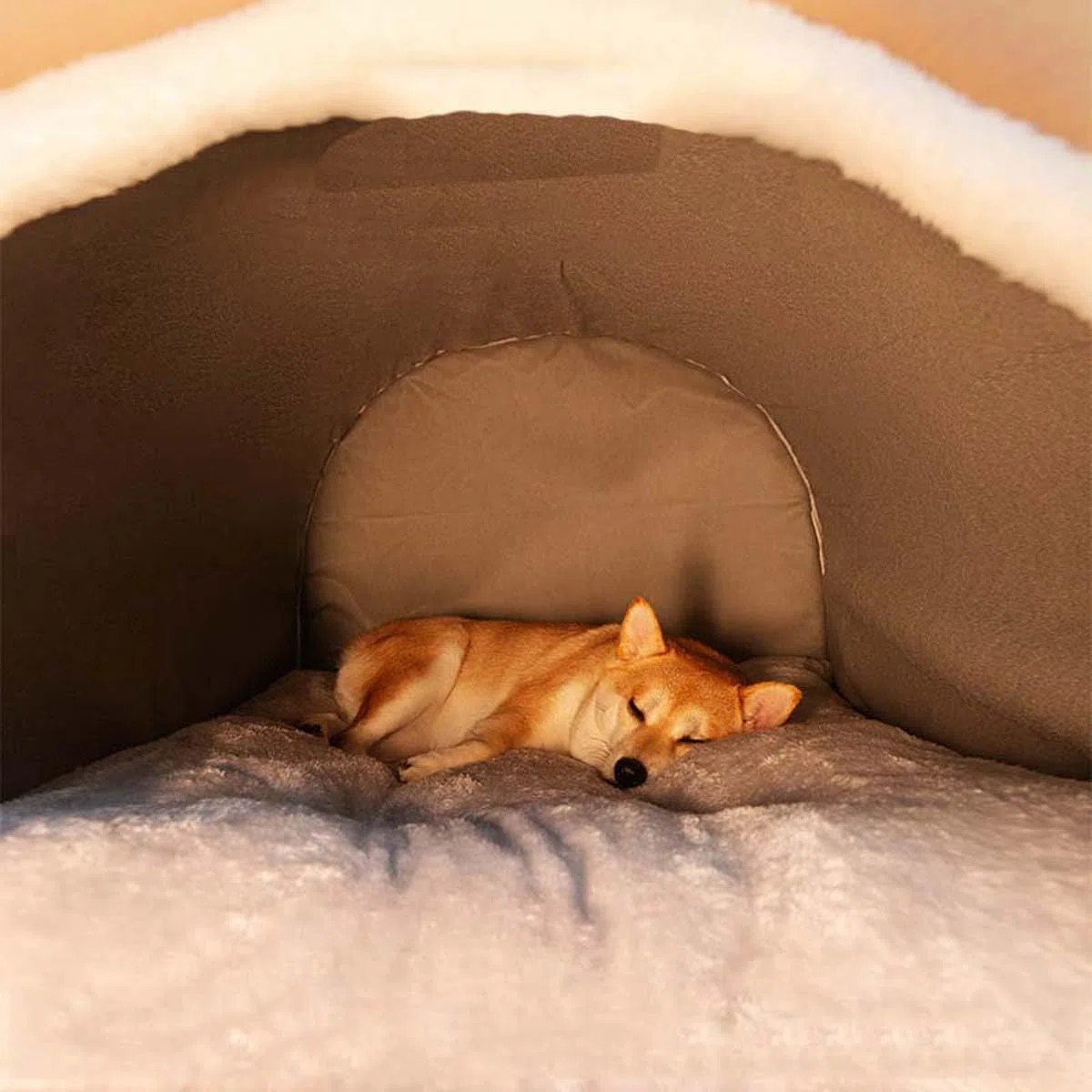 Hundebett, 2-in-1-Hundehütte, große Haustierhöhle, faltbar, beruhigende Hundehütte mit Anti-Angst, weichem, warmem Kissen, abnehmbar, waschbar, Haustier-Iglu-Bett für Hunde und Katzen, rutschfest