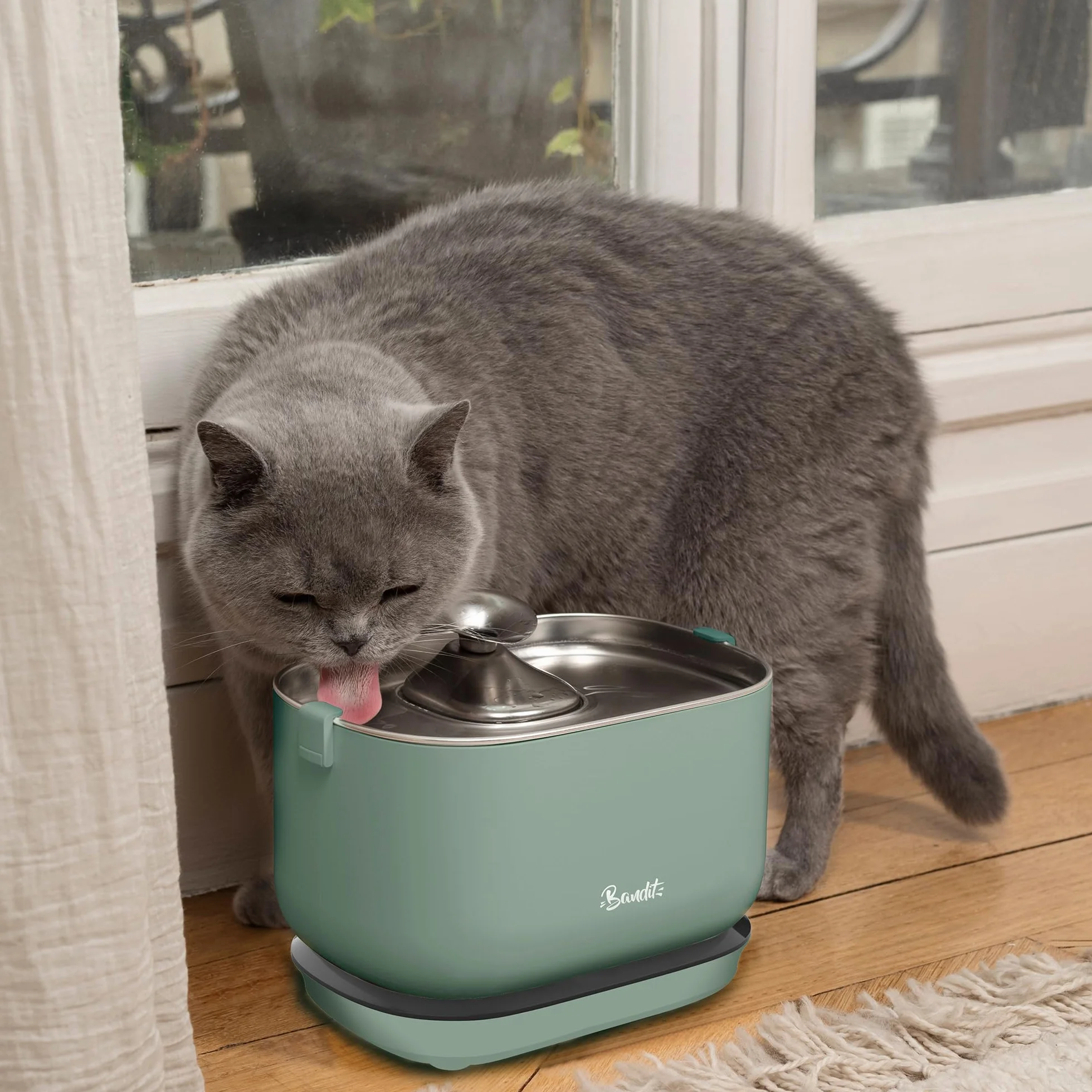 Bandit Wasserbrunnen für Katzen, kabellos, Grün, Edelstahl, 2,5 l | Akkulaufzeit 30 Tage – Filtration mit 4 Schritten – Bewegungsmelder – Ultra leise unter 30 dB – Feuchtigkeit für Katzen