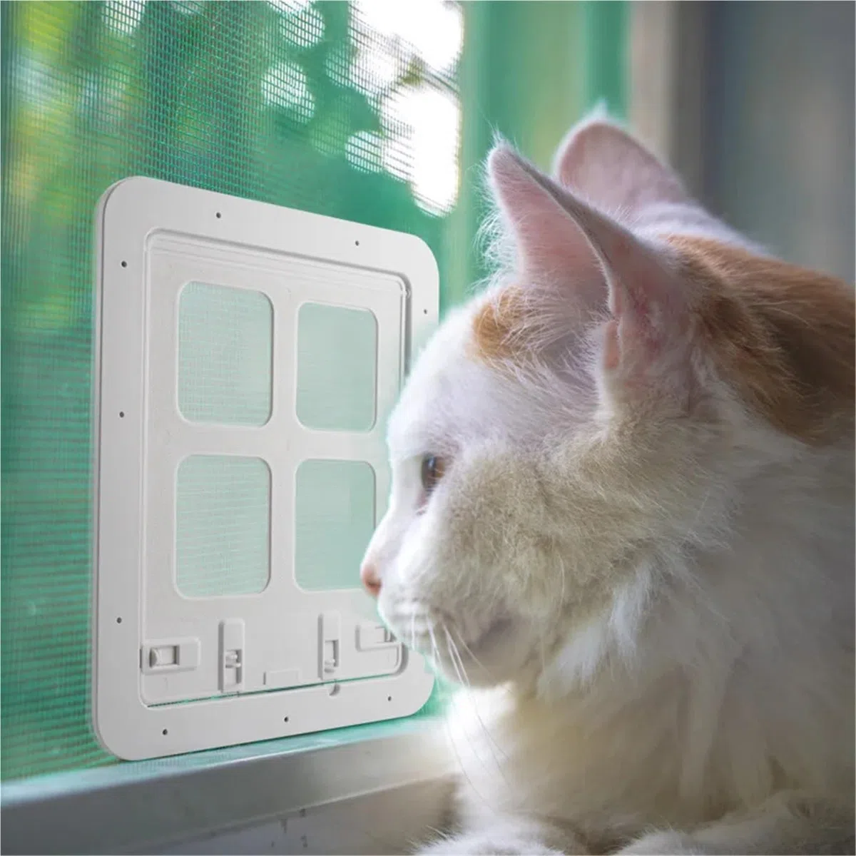 Katzenklappe Katzentor for den Innenbereich, Netz, hohe Tore, Bildschirm, hängender Magnet, Positionierungsfenster, Eintritt, Ausgang, Kätzchentür, Heimtierbedarf für Tür(White Small)