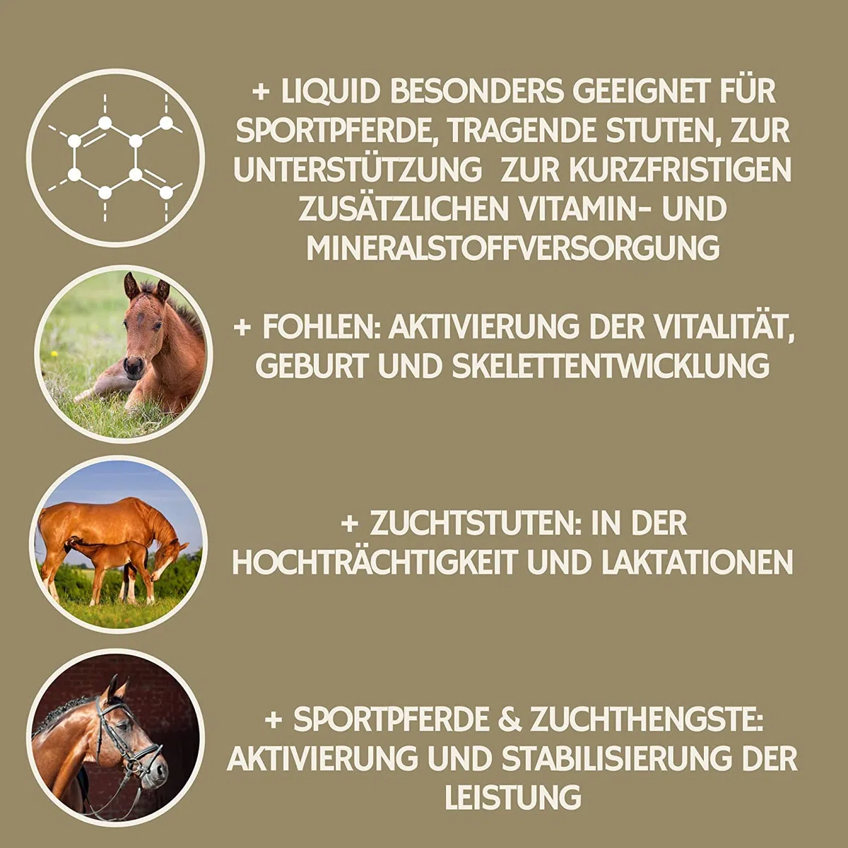 EMMA Mineralfutter Pferde Set 5kg Pellets + 1L Vitamin Liquid + Vitamin B Komplex Paste 30ml | Selen Pferd | Vitamin E D A C B12 | Magnesium | Bierhefe | Immunsystem & Muskelaufbau