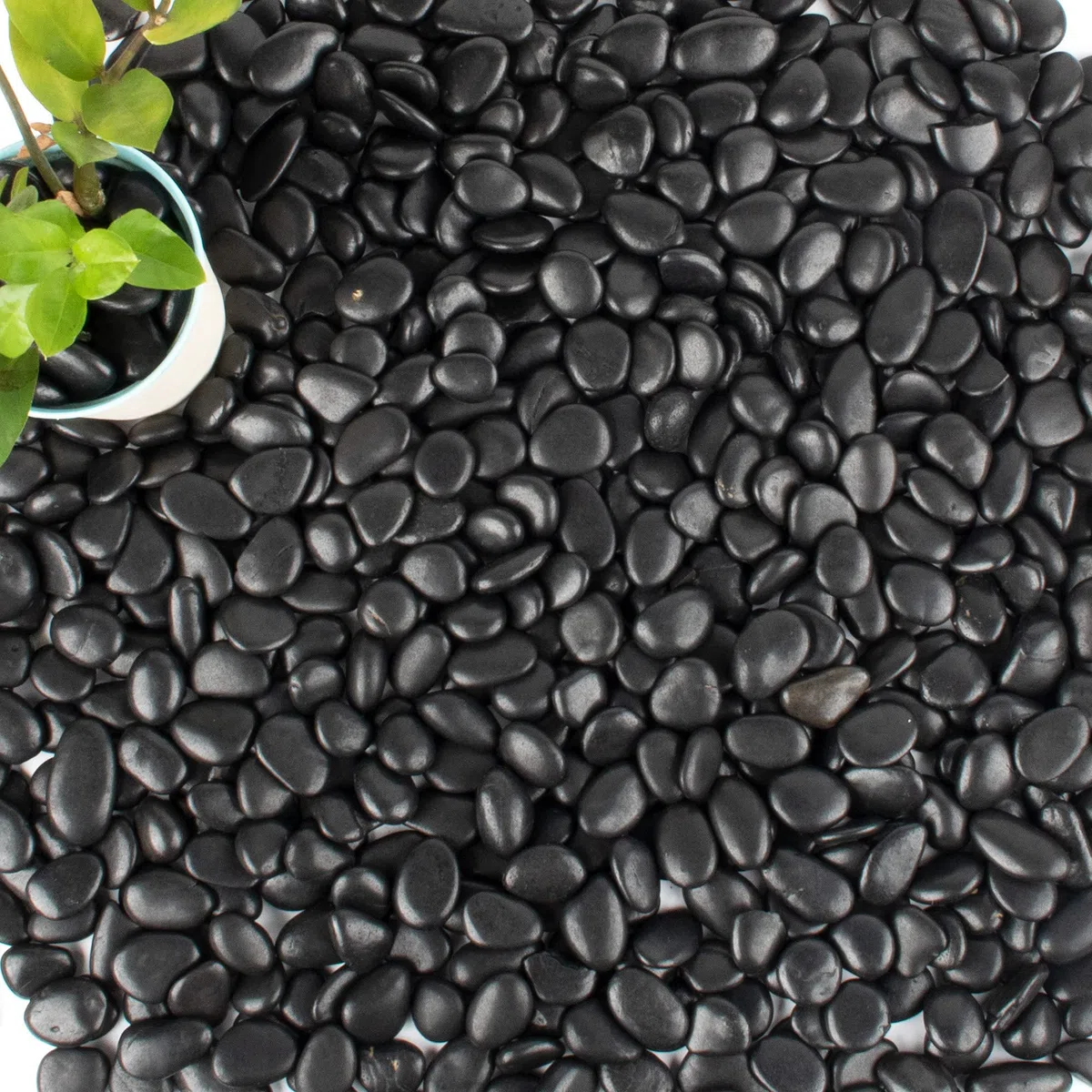 Anothera 8,2 kg große schwarze kleine Kieselsteine 2,5 cm Größe Aquarium Kies Outdoor Fluss Felsen Garten Pflastersteine Indoor Pflanze Kies Dekorative Steine