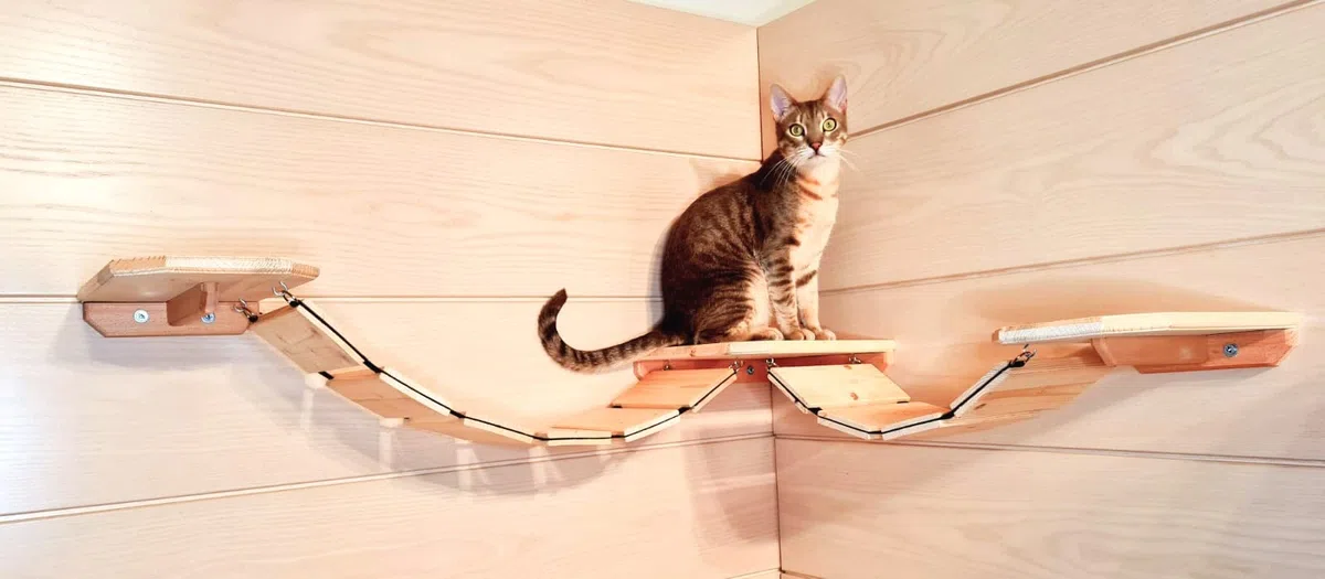 Eckpark Wandpark Catwalk Komplett-Set auch für große Katzen geeignet (200cm + 150cm, Natur)