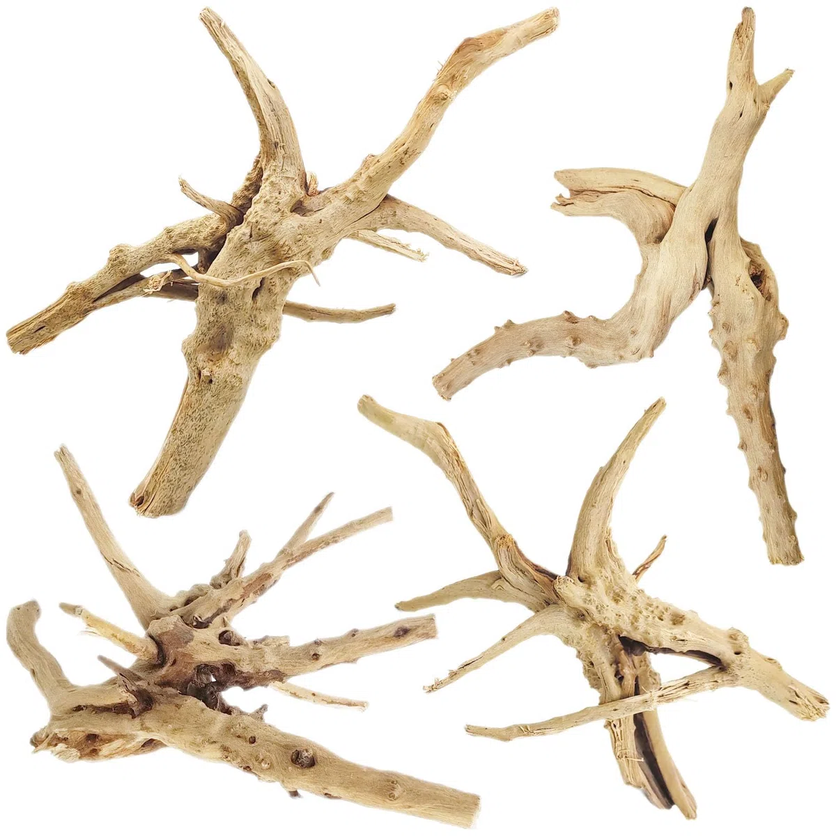 Tfwadmx Natürliches Treibholz für Aquarium, 15,2–20,3 cm, 4 Stück, Holz, Aquarium-Dekorationen, Aquarium, Reptilien, Baumzweige, Verschiedene Spinnenzweige
