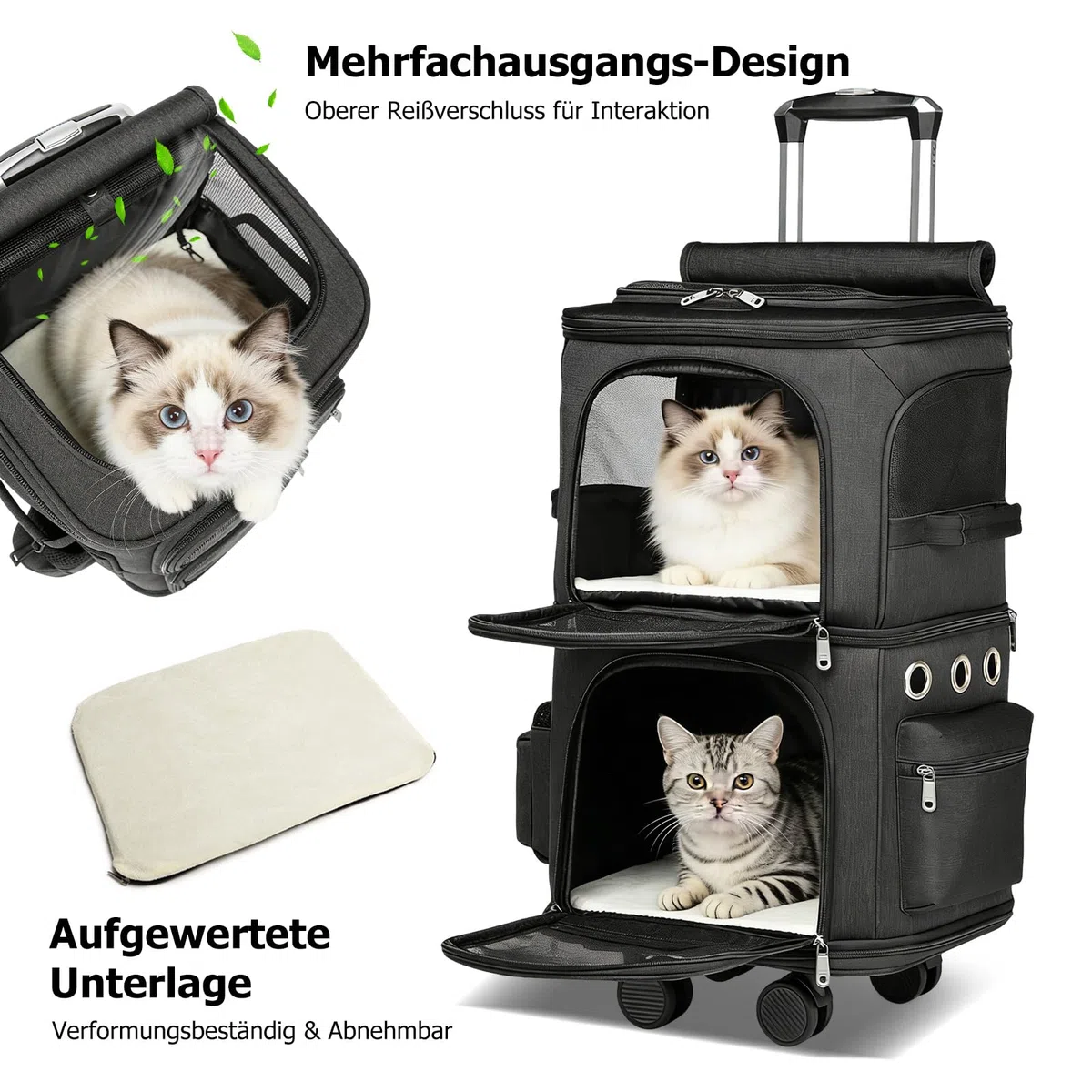 PETCUTE Großer Katzentransportbox für 2 Katzen bis 10kg, Katzenrucksack Hunderucksack mit Abnehmbare Rollen, Faltbar Transportboxen für kleine Hunde mit Innerem Sicherheitsgurt,perfekt für Reisen