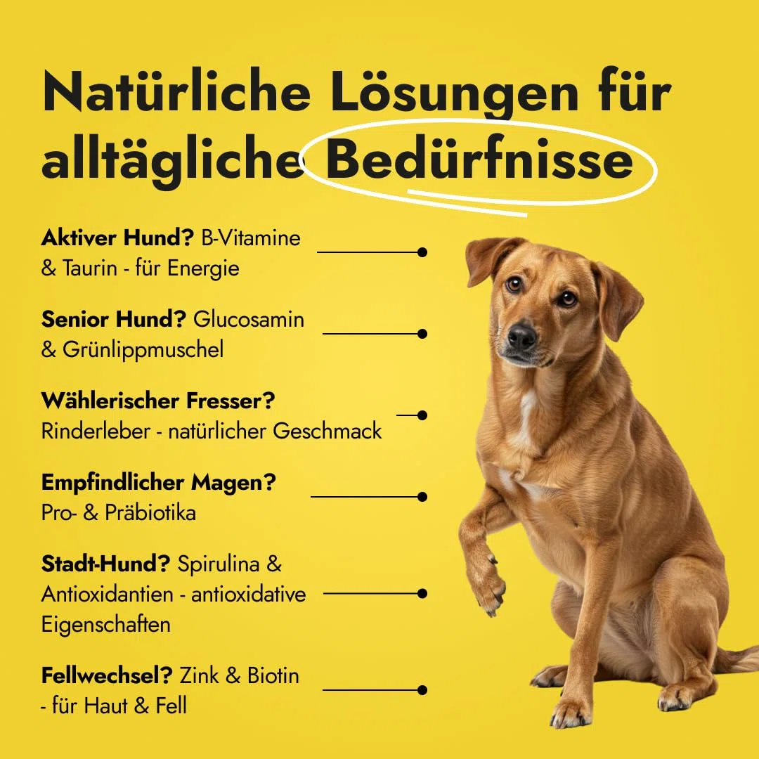 Canine Booster mit Grünlippmuschel-Extrakt für Hunde - Expertenformulierte Superfood-Mischung mit 26 Wirkstoffen - 150g Pulver