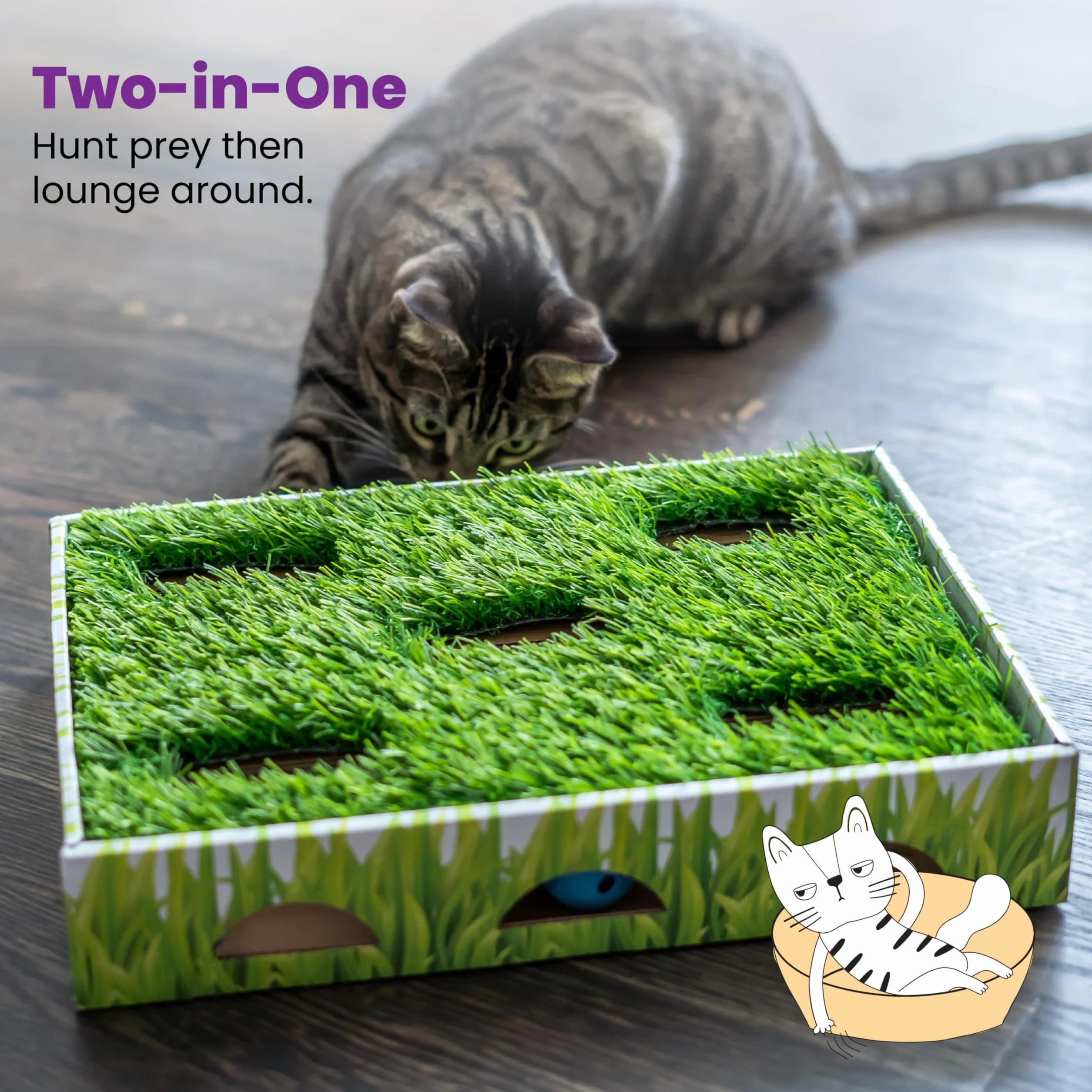 Catstages Gras Patch Jagdbox Katzenspielzeug