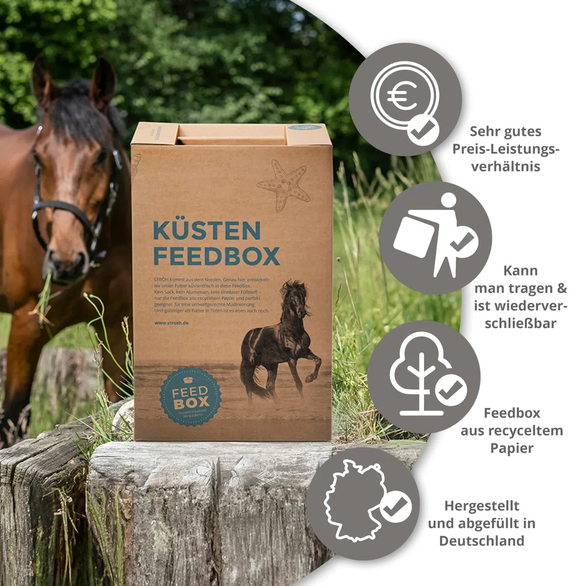 STRÖH Magenruhe Pellets für Pferde - Ergänzungsfutter - 12kg Feedbox