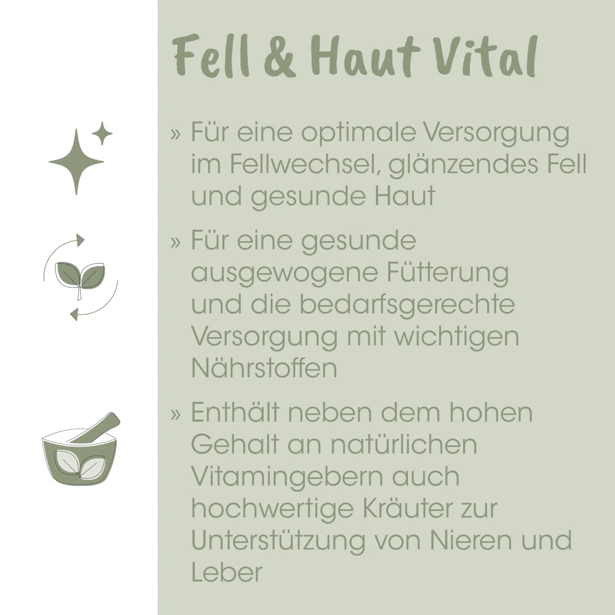 EquiGreen Fell & Haut Vital 3kg – Natürliche Unterstützung für gesundes Pferdefell