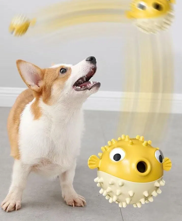 Kauspielzeug für Hunde, Kugelfisch, 2 Stück, Gelb und Grün