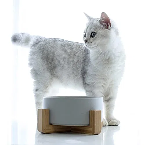 Hundenapf Keramische Hund Fütterungsschale Pet Feeder Waren for Katzen Welpen Lebensmittel Wasser Container Aufbewahrung Wasserer Zubehör Futternapf Katze
