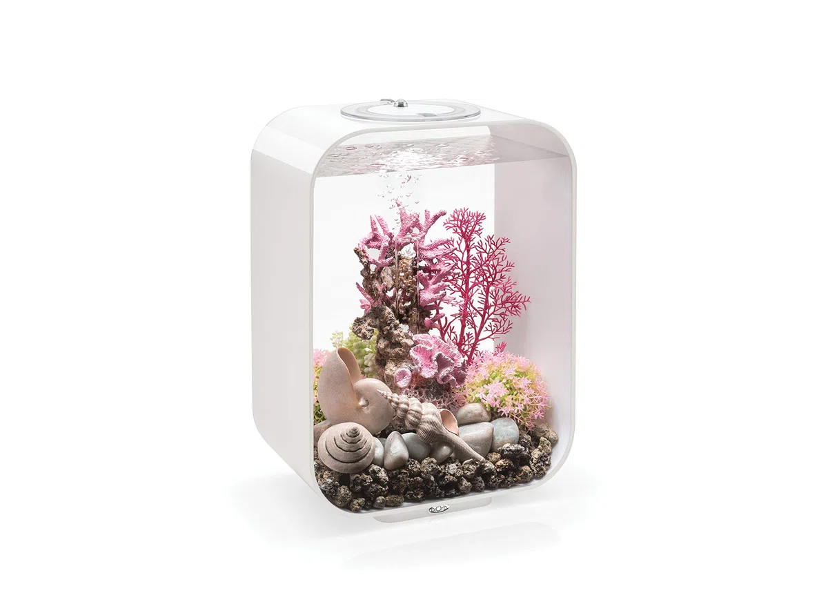 biOrb 72049 LIFE 15 LED, weiß, 15 L Tankvolumen - Aquarien-Set mit Filtersystem, LED-Beleuchtung, Keramik-Bodengrund aus robustem Acryl-Glas