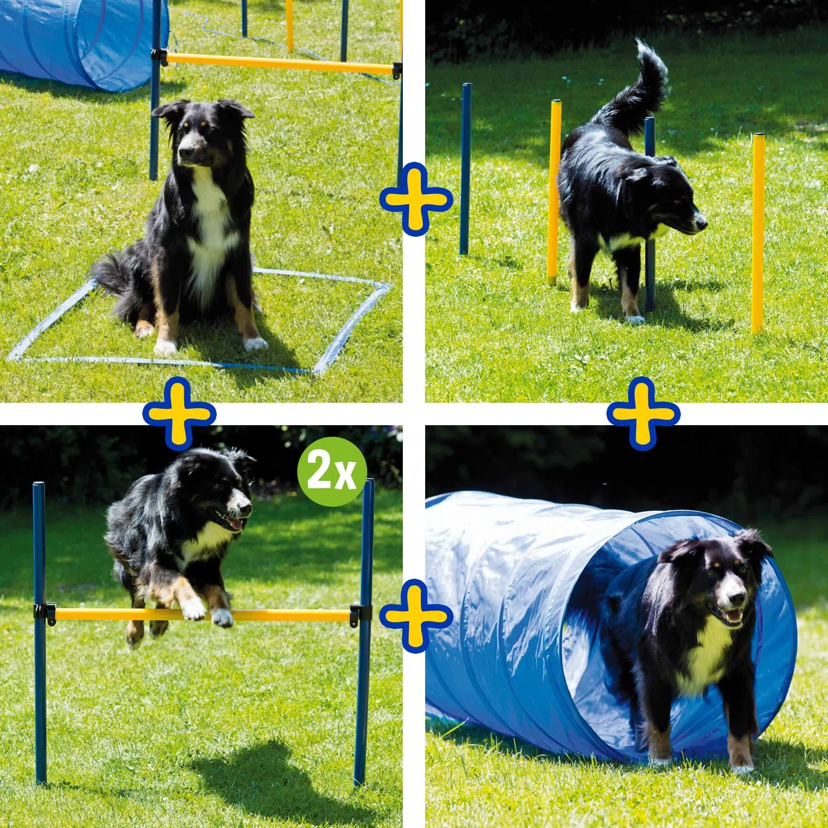 Schecker Dog Agility Set groß für Hunde mit Startfeld, Slalomstangen, Hürden, Tunnel und Tasche