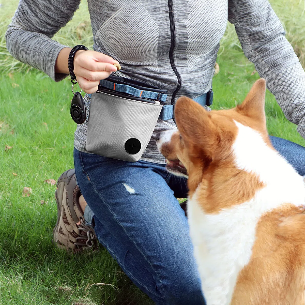 Leckerlitasche für Hunde mit Haustier-Trainingsklicker, Hundetraining-Leckerlibeutel-Set, Magnetverschluss, freihändiges Training. (Grau)