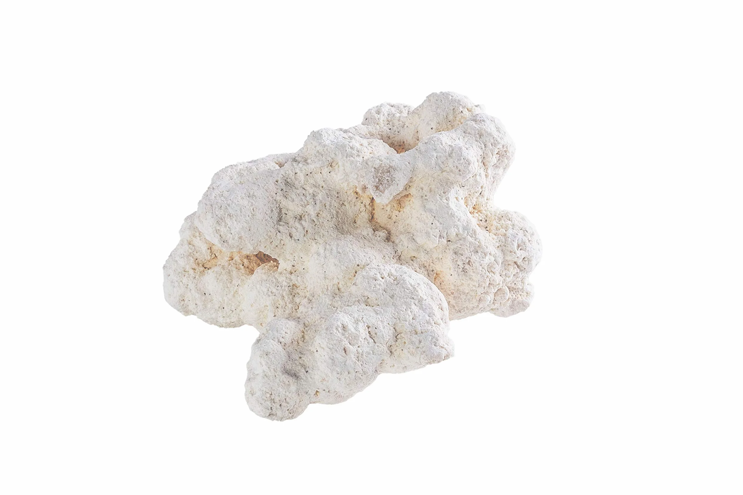Riffgestein groß Meerwasseraquarium 25-40 cm 20 kg - myReef-Rocks Aragonit | natürliches Aragonitgestein, porös, schadstoffrei, für Riffaufbau, Bakterienbesiedlung, Aquascaping, Riffaquarium, Meerwasser