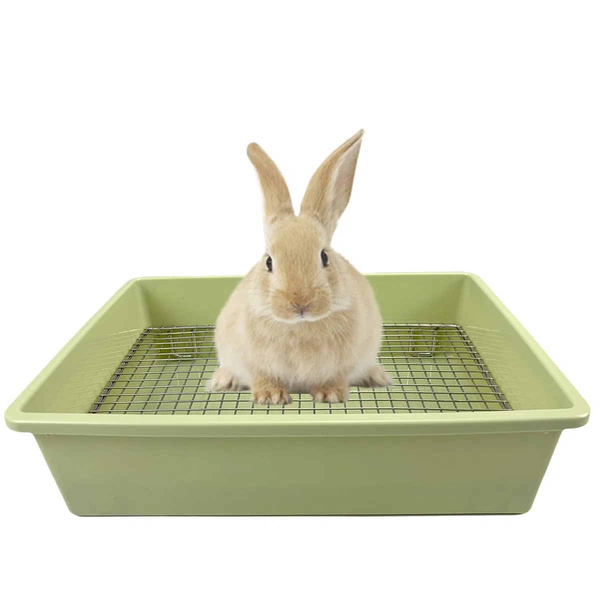 Verbesserte große und mittlere Katzentoilette für Kaninchen und Meerschweinchen, ideal für Kaninchen, Frettchen und kleine Haustiere, hohe Kapazität, Käfig-WC-WC-WC-Wanne mit erhöhtem Gitter und