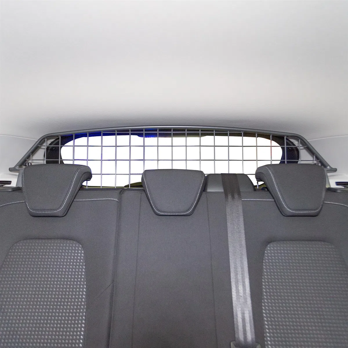 Travall Hundegitter für Ford Focus 2018+, fahrzeugspezifisches Trenngitter für den Kofferraum aus Stahl, passgenau für sicheren Hundetransport