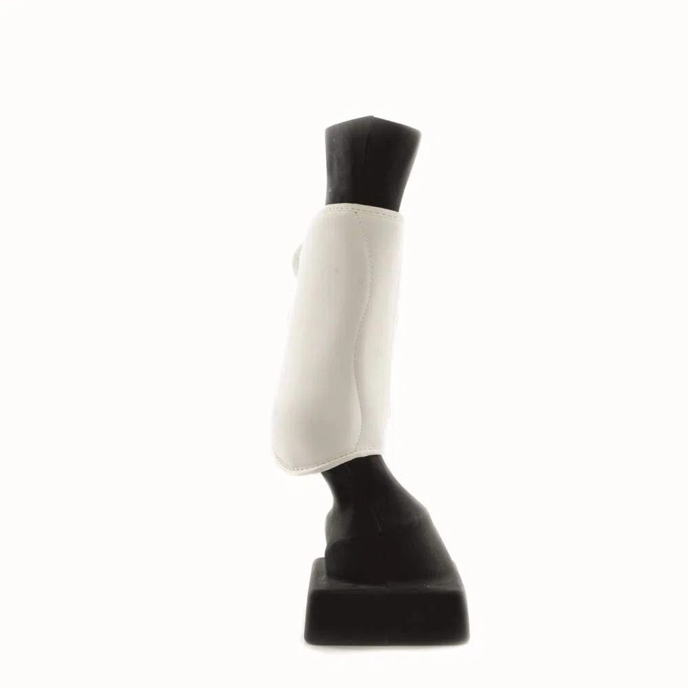 Eskadron Gamasche Allround hinten Gamaschen Dressur