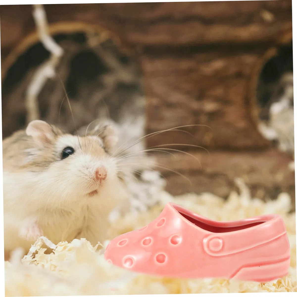 Yardwe 5stücke Keramische Hamster Futterschale rutschfeste Kleine Tiernapf Geeignet Für Hamster Mäuse Meerschweinchen Und Andere Kleintiere Leicht Zu Reinigen Langlebig Und Hygienisch