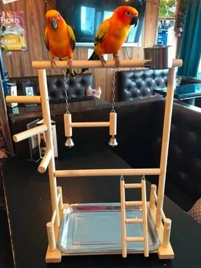 Liudan Papageispielstände mit Tasse Toys Tablett Vogel Swing Klettern Hängende Leiterbrücke Holz Cashatiel Spielplatz Vogelperches