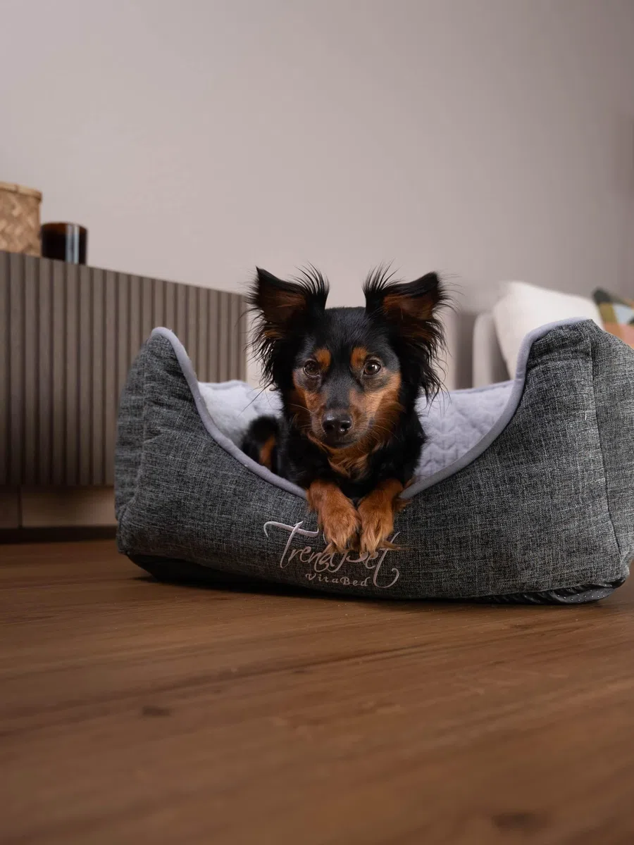 TrendPet VitaBed - Orthopädisches Hundebett mit 5cm Memofoam (60x50cm)