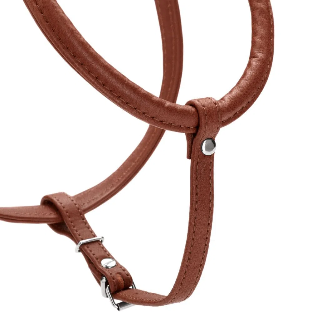Hunter Hundegeschirr Round & Soft Canadian UP, Farbe: Cognac, weiches, geschmeidiges Leder, rundgenäht, fellschonend, nachhaltig, Made in Germany, Größe: S/1