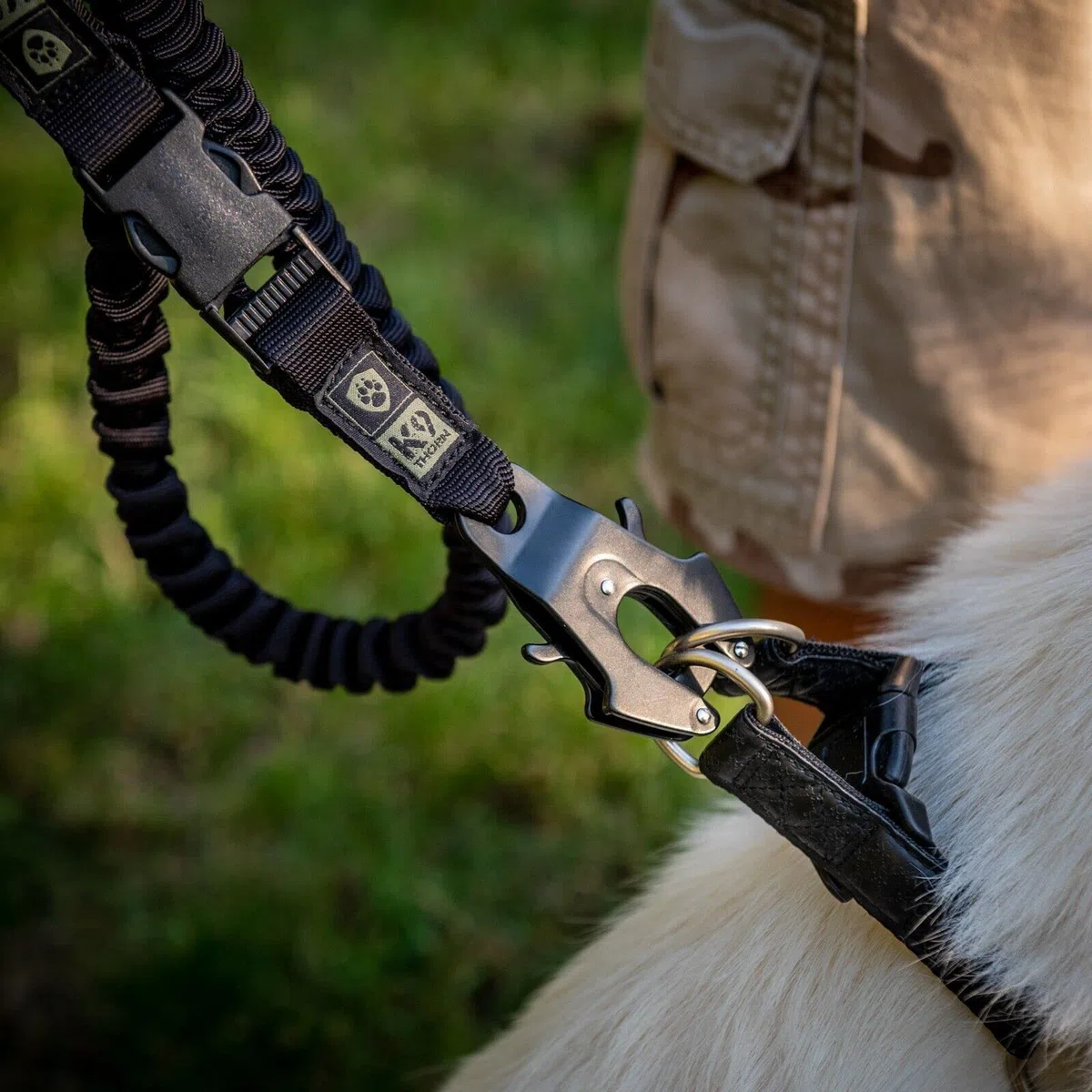 Hundeleine mit Stoßdämpfer Joggingleine Walkingleine Stoßdämpfer XL - 45/250cm (25 kN) Dog Leash Breite: 2,5 cm