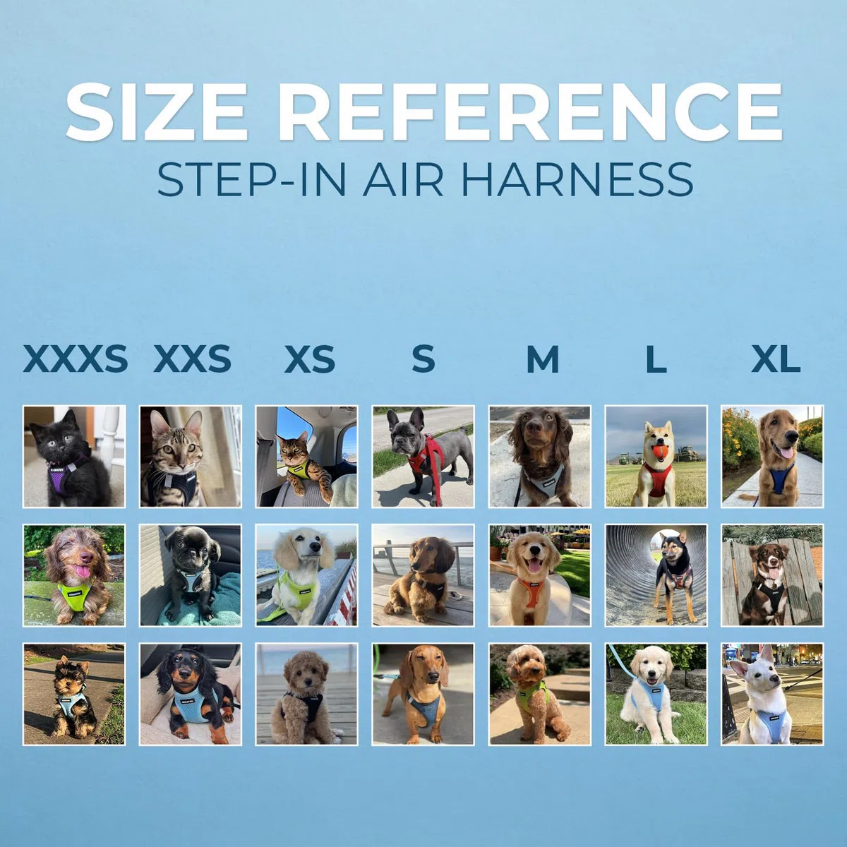 Best Pet Supplies Voyager Step-in Air Allwetter-Mesh-Geschirr und reflektierende Hundeleine, Kombination mit Neopren-Griff, für kleine, mittelgroße und große Hunderassen, Größe XXXS