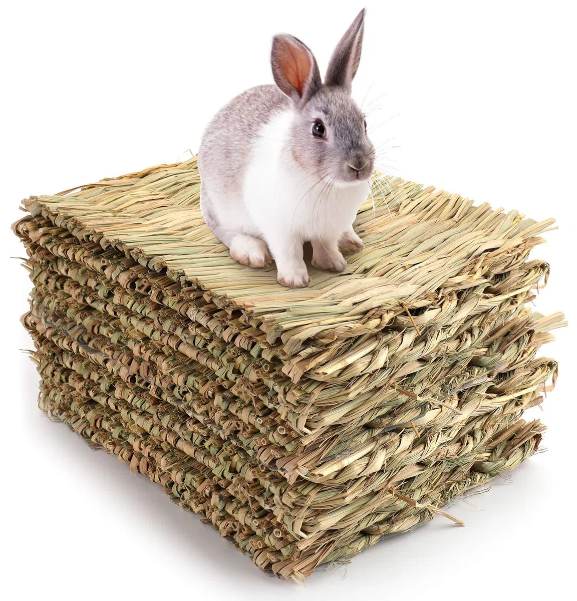 Yesland Gewebte Bettmatte für Kaninchen, Grasmatte und Hasenbett, Kaninchenbett und natürliches Kauspielzeugbett für Meerschweinchen, Chinchilla, Eichhörnchen, Hamster, Katze, Hund und Kleintiere, 12