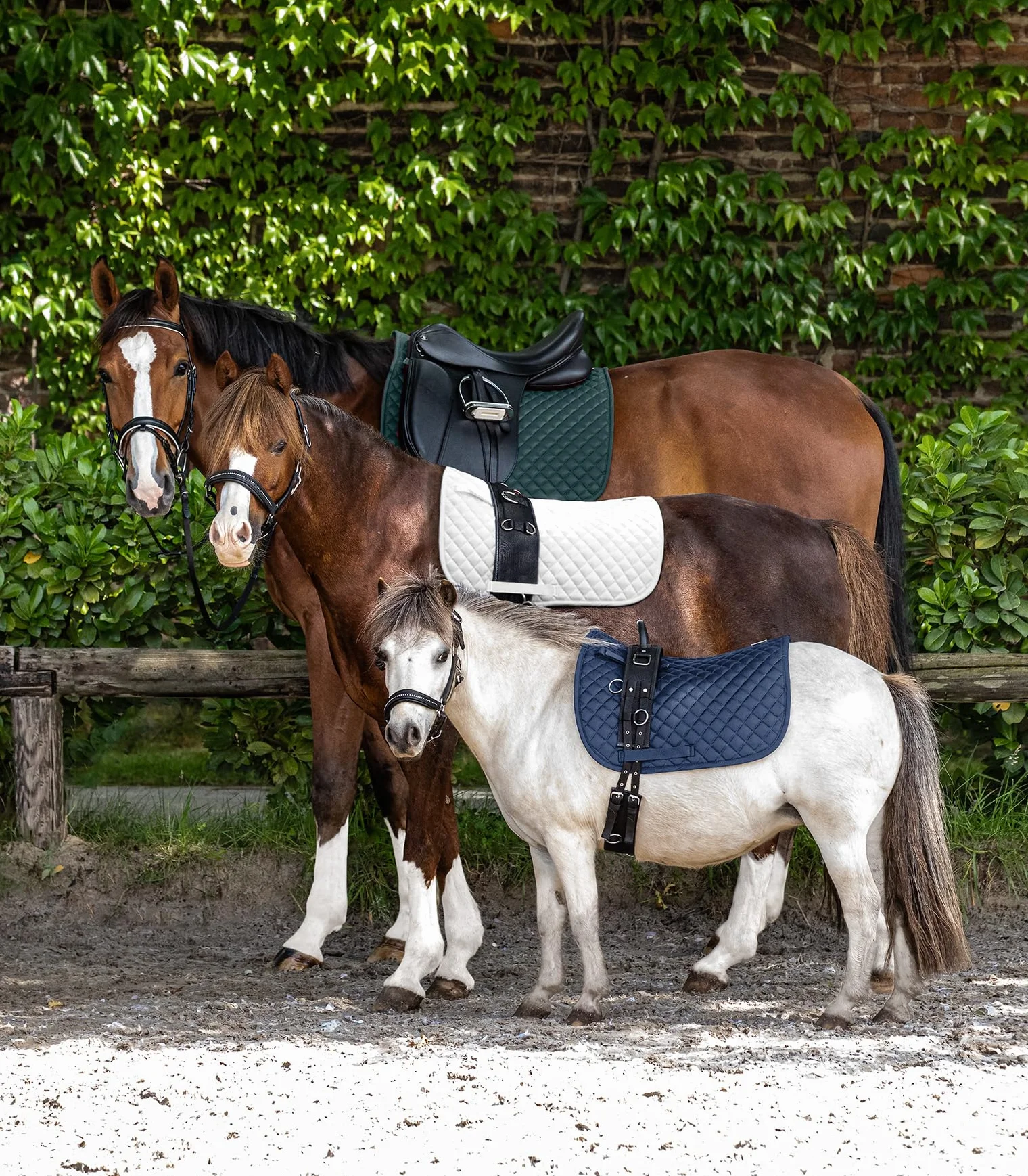 WALDHAUSEN Schabracke Felix, weiß, Pony VSS