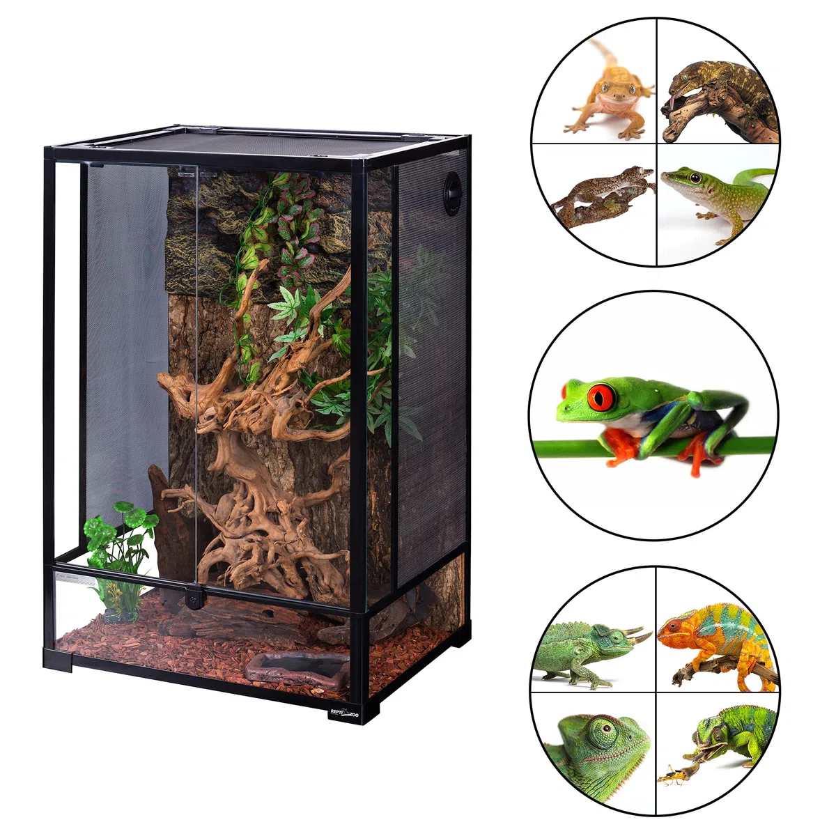 ReptiZoo Terrarium, 60 x 45 x 90 cm