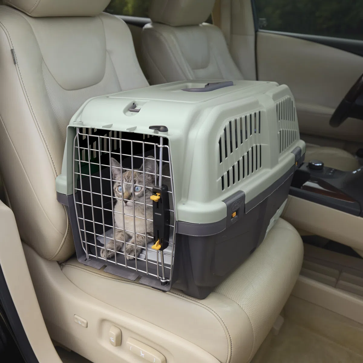 Midwest Homes for Pets Skudo Katzentrage, Kunststoff, mit integrierter Katzentoilette, 61 cm