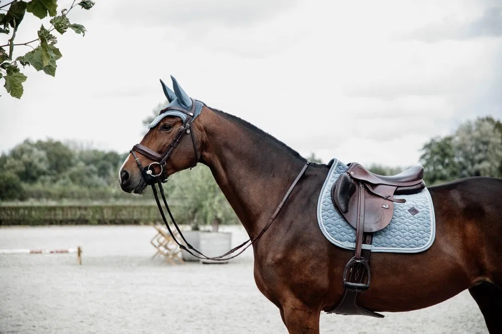 Kentucky Horsewear Satteldecke Velvet Jumping Full – Hellblau Schabracke – Springform mit Doppelkordel – Atmungsaktiv – Maschinenwaschbar