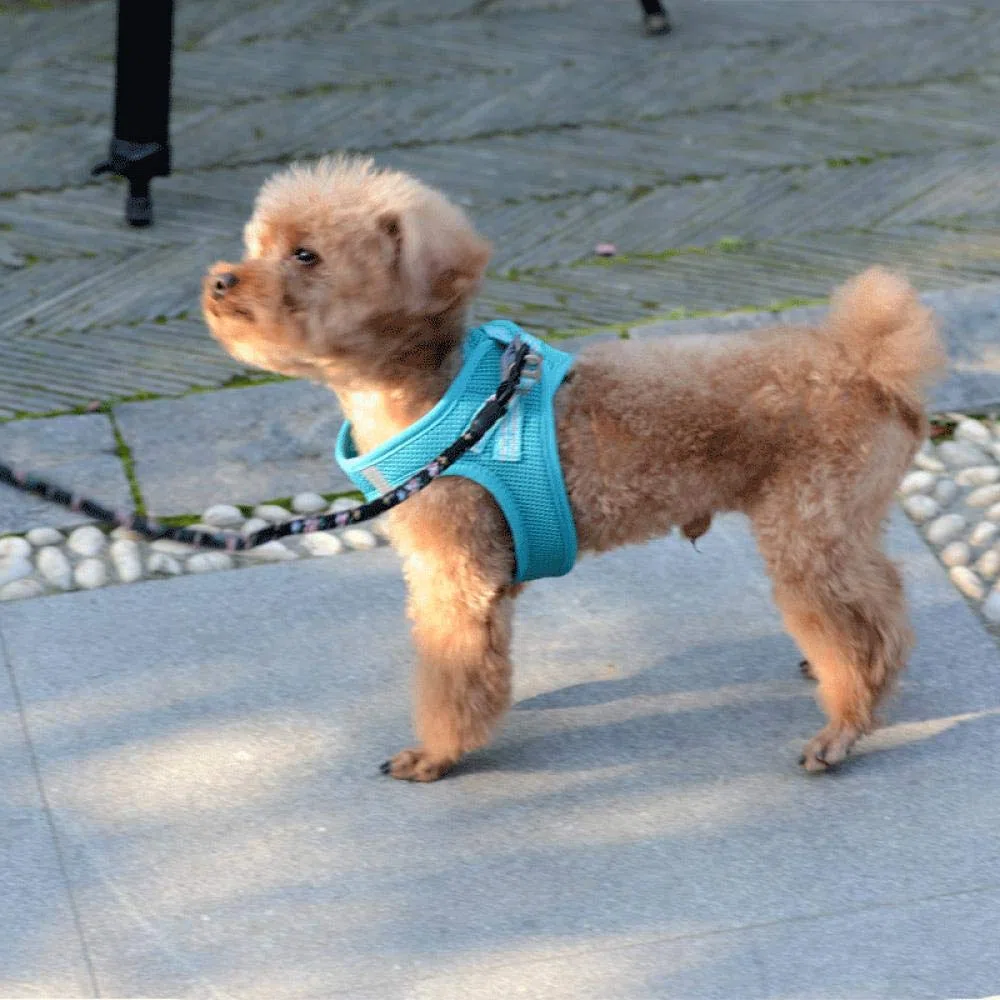 Hund mit Werkzeug, Leine Set Rosa Hundeleine Katze Verstellbares Geschirr Weste Walking for Welpen Hunde Halsband(XXS)