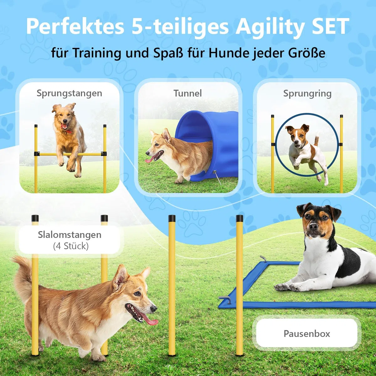 Agility Set Hunde Klein und Groß aus Tunnel für Hunde, Agility Stangen, Hürdenstange, Agility Ring & Pausenbox für Hunde Beschäftigung - Hundetraining Zubehör