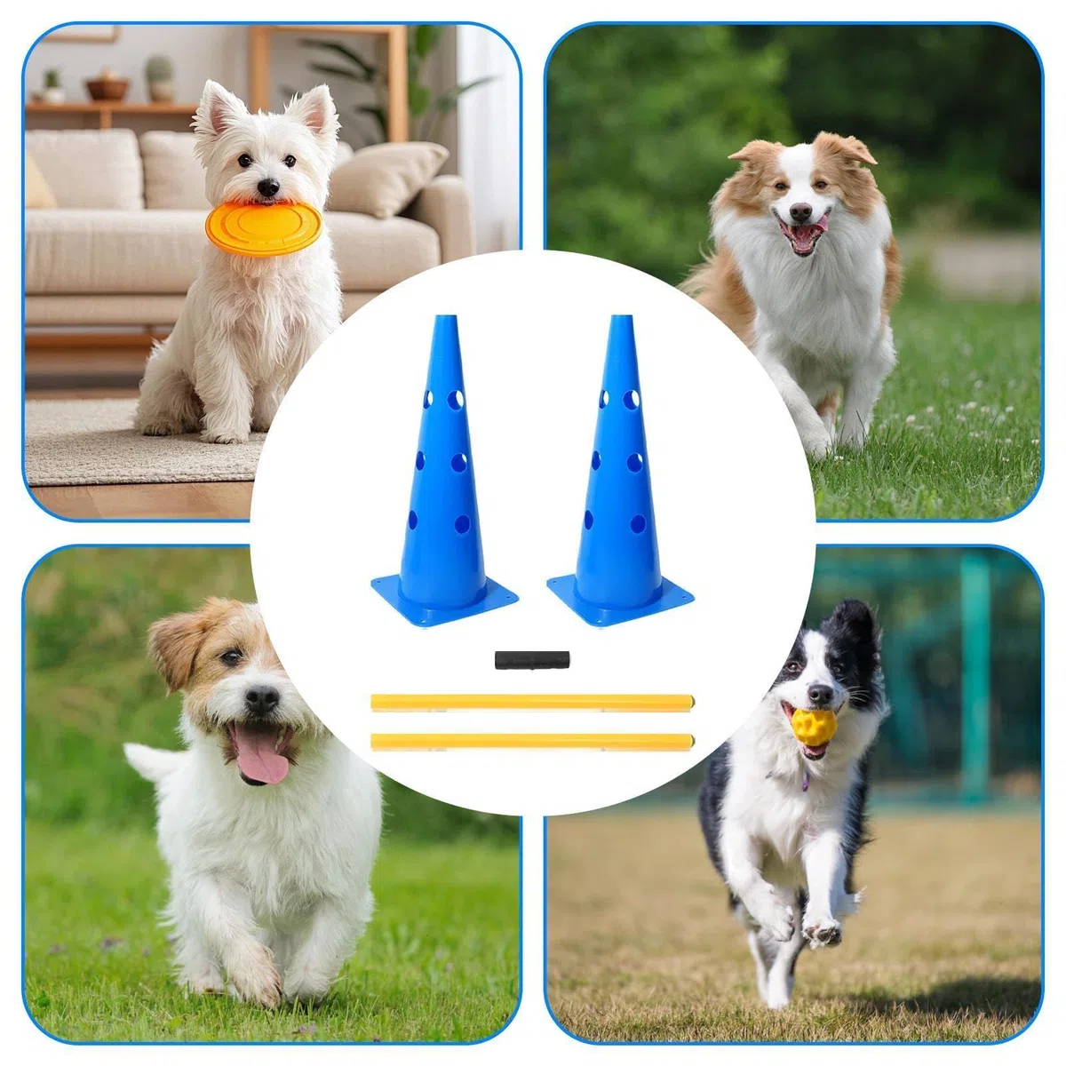 Generisch Hunde-Agility-Ausrüstung Robust und tragbar | Hürden--Set für Agility-Training für Zuhause, Garten, Park, Indoor, Welpen, kleine, mittlere, große Hunde