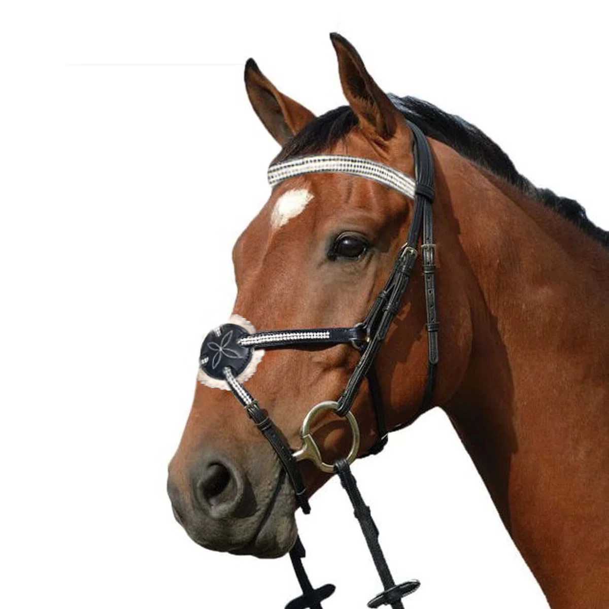 Wonder Care Top Grain Rindsleder Englische Trense Pferd Zaumzeug Reithalfter mit Stirnband Pferdegebiss Zaumzeug mit Zügel Zaumzeug für Pferde