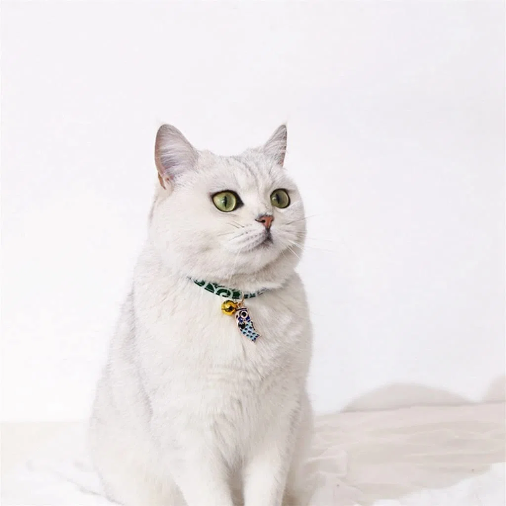 Niedliches Halsband für Katzen, Haustiere, mit Glocke, Katzenhalsband, verstellbar, für Sicherheitskätzchen, für Katzen, Welpen, Hunde (Farbe 3)