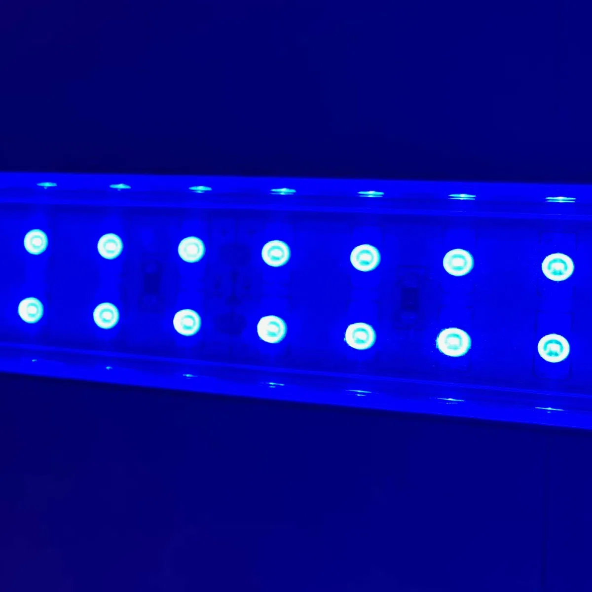 Meerwasser Aquarium LED-Leuchtbalken 60 cm, 2 Leisten BLAU +Trafo/Verteiler