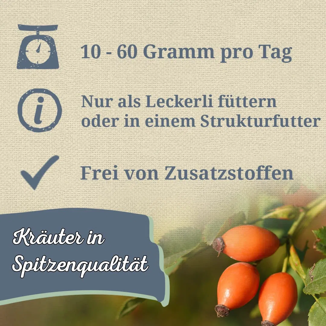 Krauterie Hagebutten für Pferde, ganz (5000g) | Artgerechtes Einzelfuttermittel für Pferde in Spitzenqualität - frei von Zusatzstoffen, zuckerfrei, getreidefrei, melassefrei