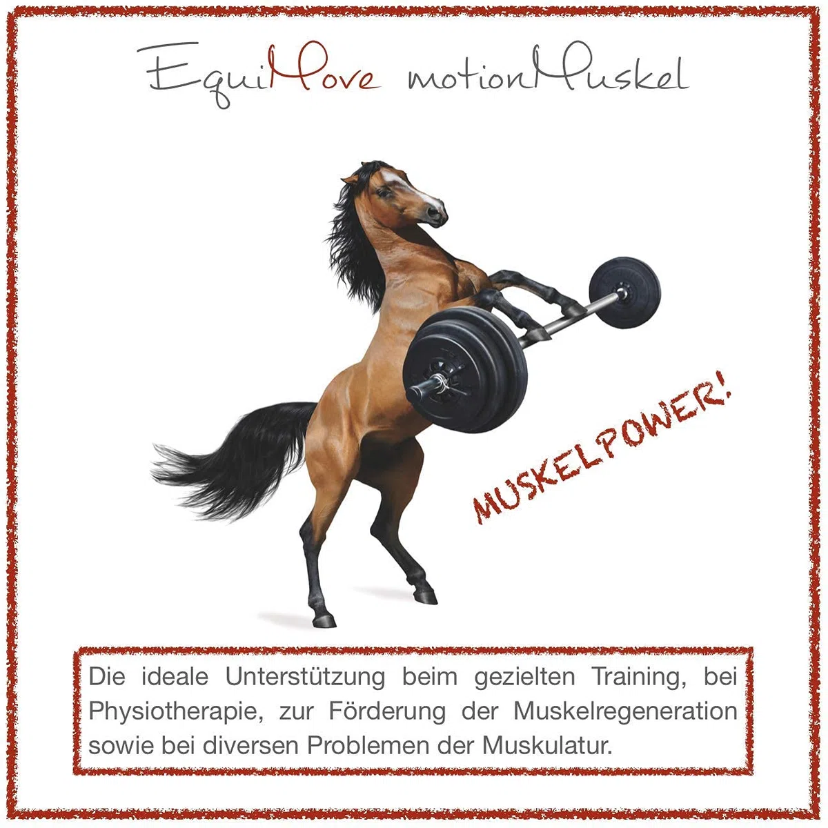2 Dosen EquiMove Muscle Power Pellets | für Muskelaufbau und besseres Training | auch bei Problemen der Muskulatur | mit Spirulina, Chlorella, Gamma-Oryzanol, Aminosäuren, Vitaminen